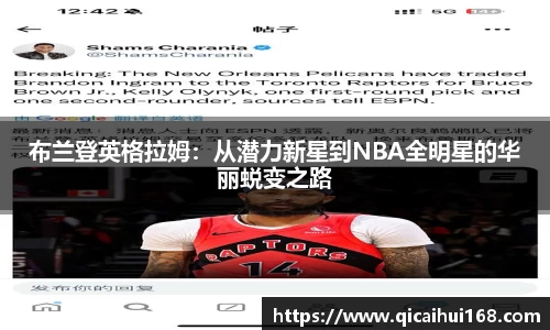 摩根综合体育官网