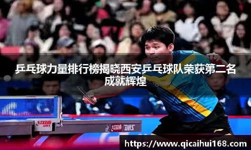 星空电子首页网站